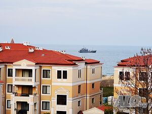 image_12