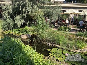 image_28