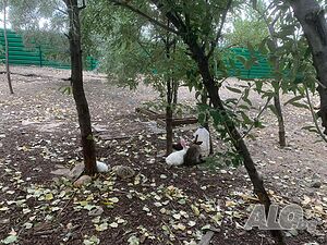 image_36
