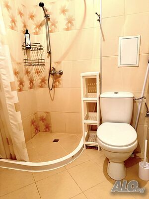 image_11