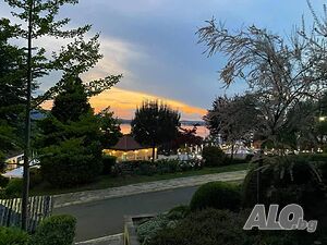 image_11