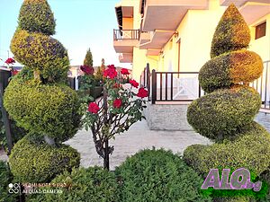 image_13