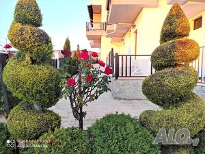 image_16