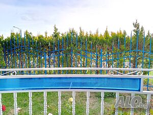 image_12
