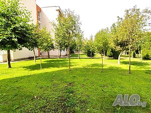 image_11