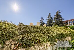 image_11