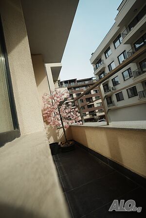 image_10
