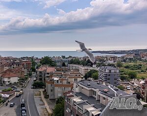 image_13