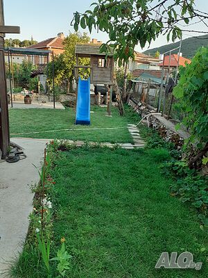 image_3