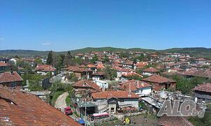 image_9
