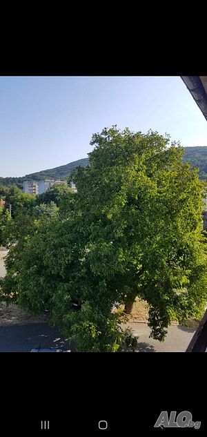 image_10
