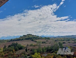 image_37