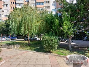 image_42