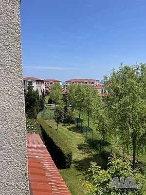 Стая под наем Грийн Лайф Каваци