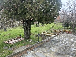 image_31