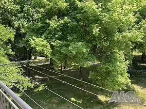 image_46