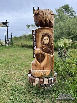 image_21