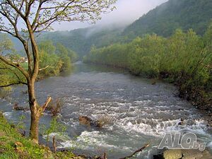 image_37