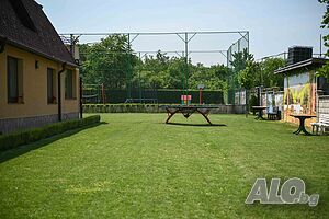 image_41