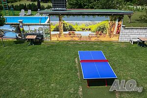 image_43