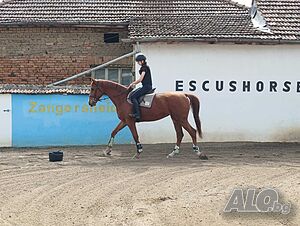 image_20