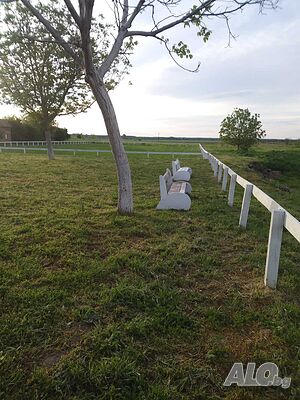 image_38