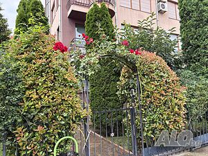 image_10