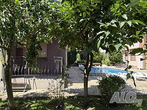 image_11