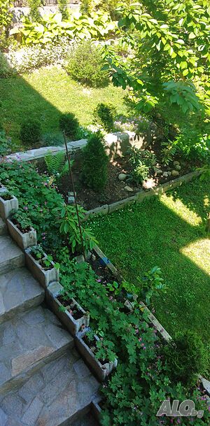 image_10