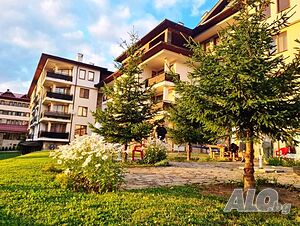 image_38