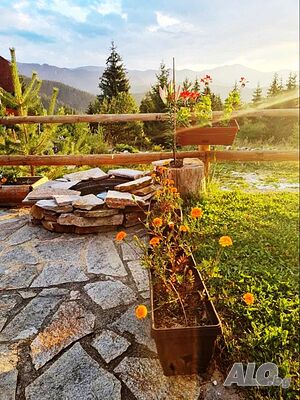 image_37