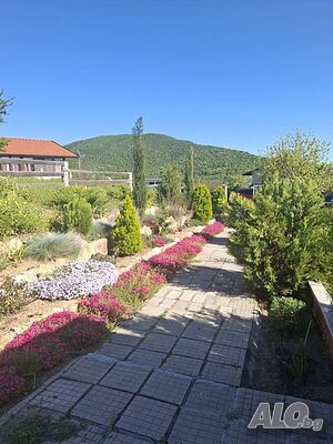 image_10