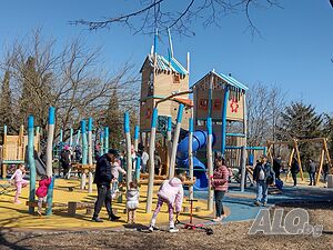 image_31