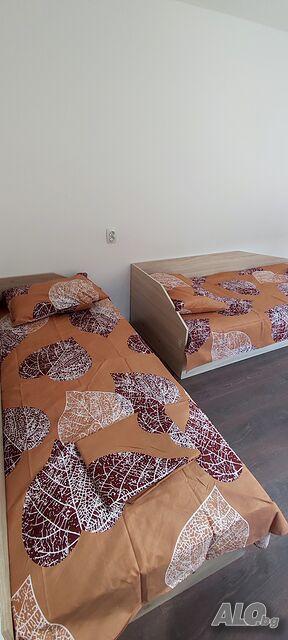 Легло в стая Давам стаи за работници