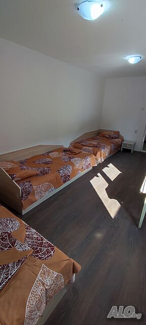 Легло в стая Давам стаи за работници