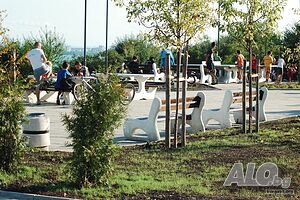 image_11