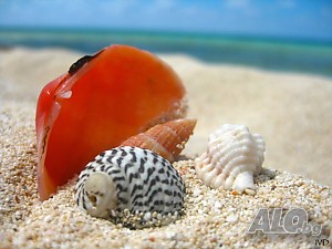 image_22
