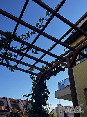 image_14