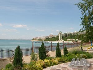 image_5