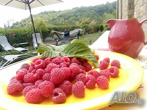 image_8