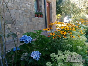 image_21
