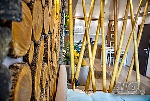 image_11