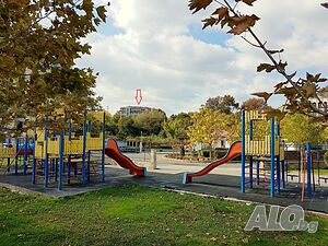 image_21
