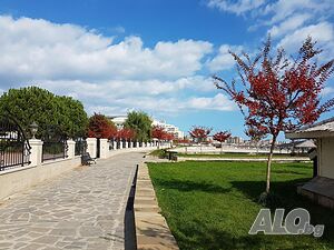 image_11