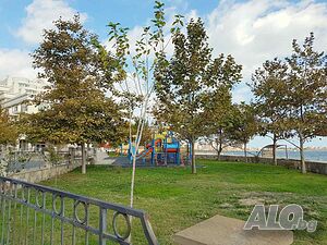 image_14