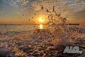 image_6