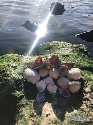 image_20