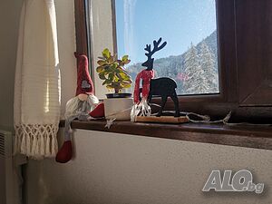 image_19