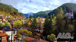 image_14
