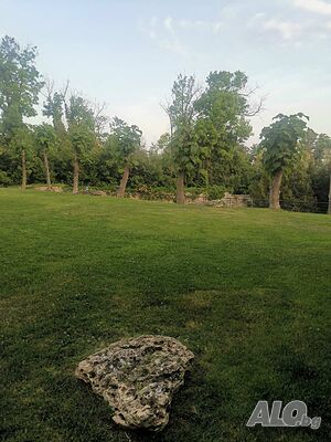 image_18